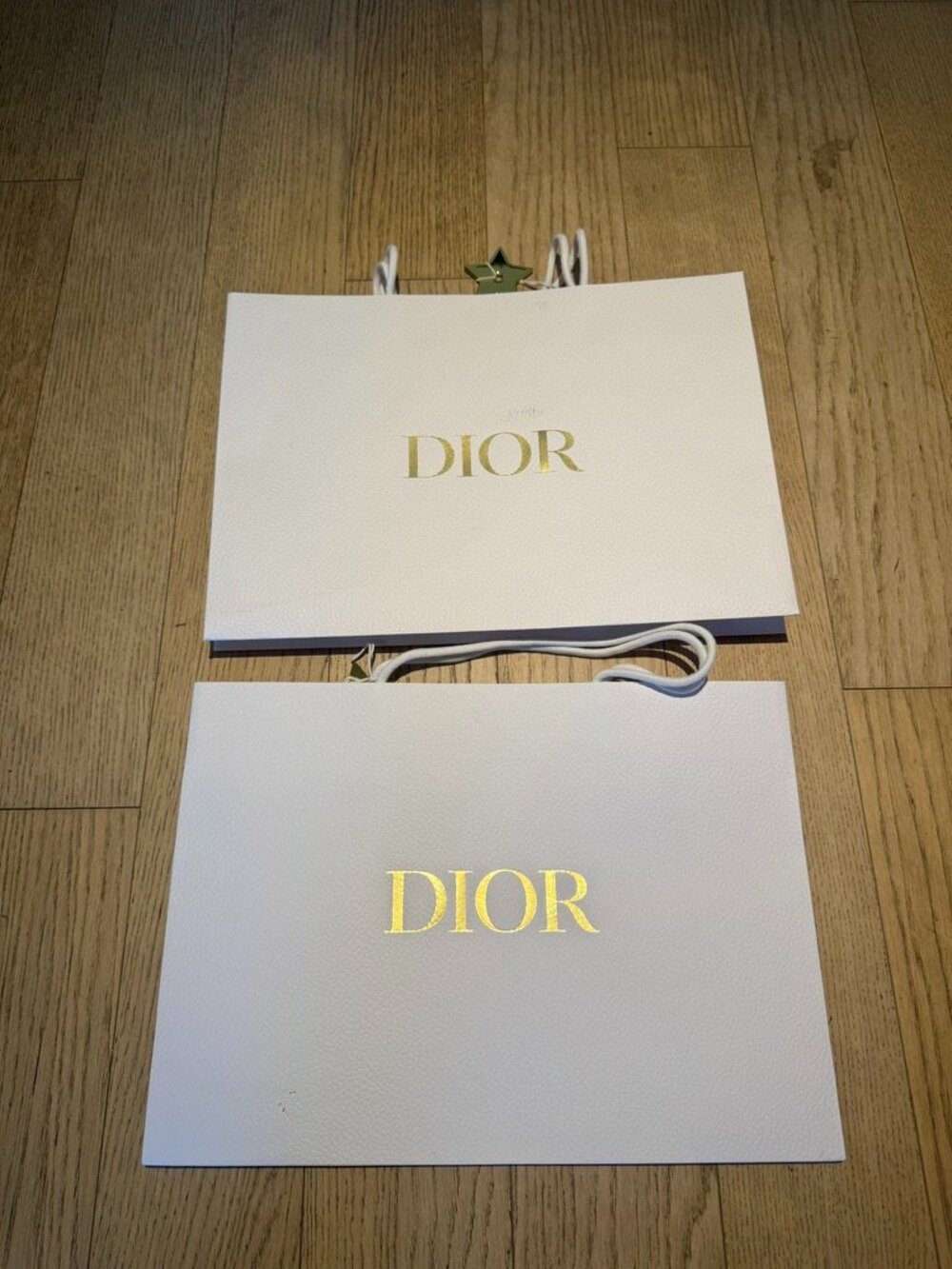 Dior shopping bags
